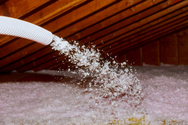 Best Residential Insulation in Clyde, OH